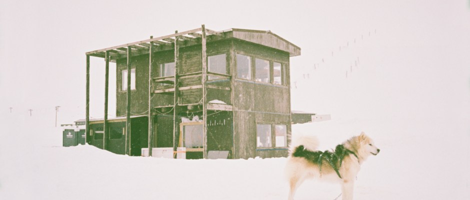 Issue 12 (original) dog sledding